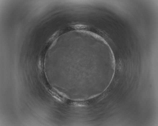 X0000080680763200701051034