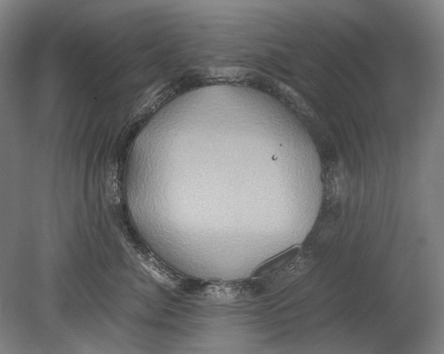 X0000080680764200701051034