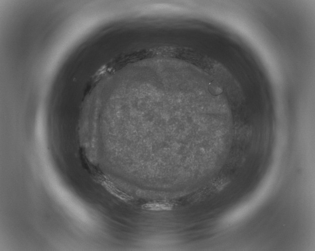 X0000080680765200701051034