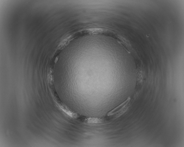 X0000080680766200701051034