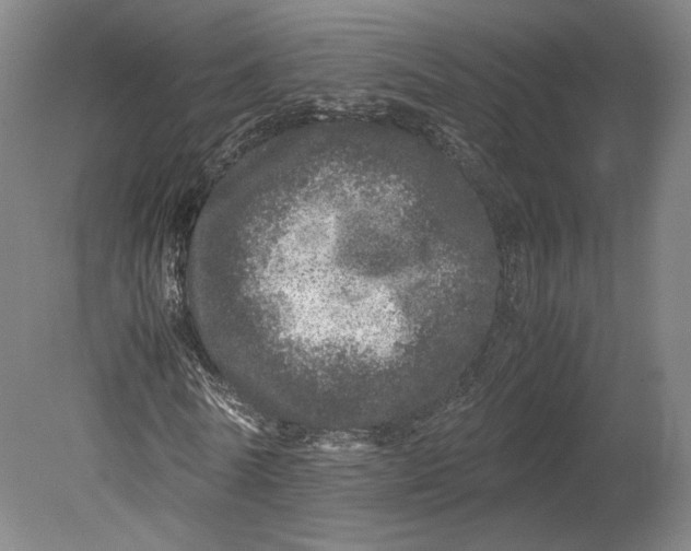 X0000080680770200701051033