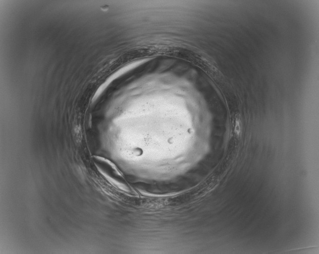 X0000080680771200701051033