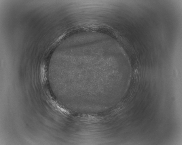 X0000080680772200701051033