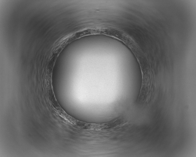 X0000080680773200701051033