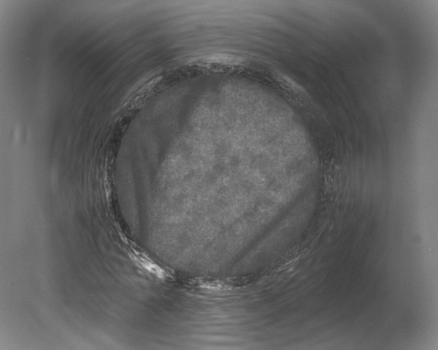 X0000080680774200701051033