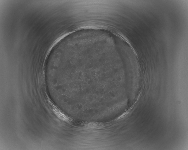 X0000080680779200701051033