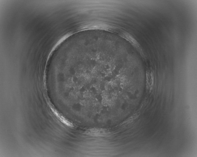 X0000080680780200701051033