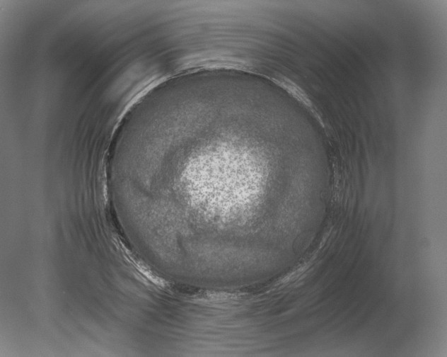 X0000080680782200701051033