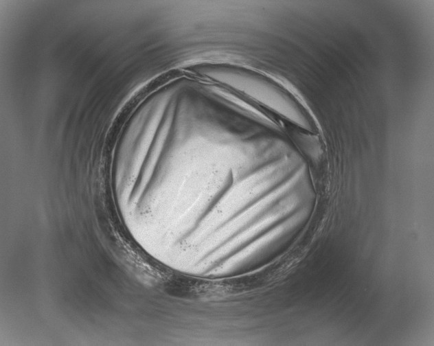 X0000080680783200701051033