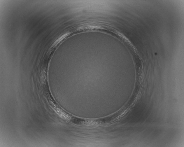 X0000080680785200701051033