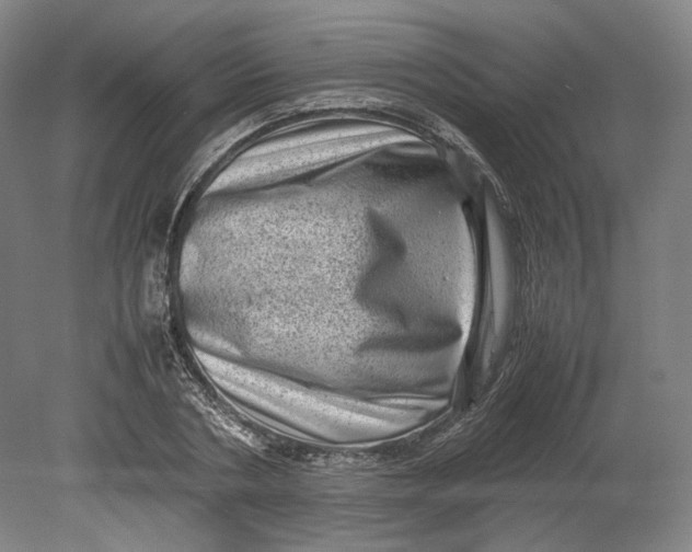 X0000080680786200701051033