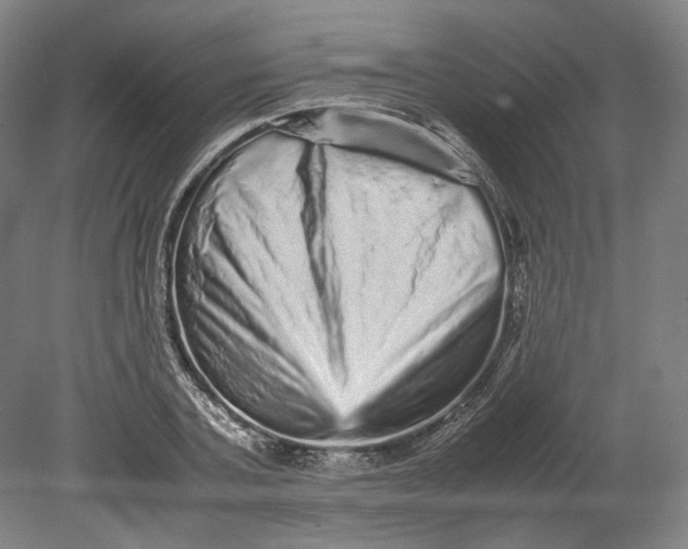 X0000080680787200701051033