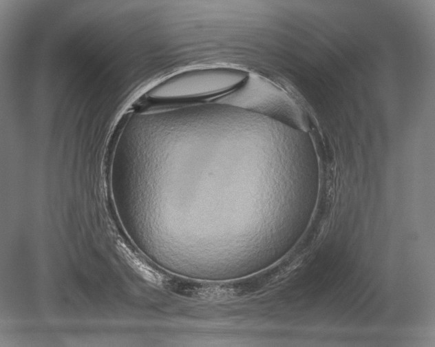 X0000080680789200701051033