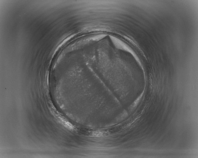 X0000080680790200701051033