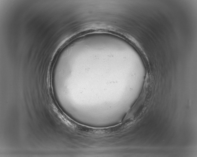 X0000080680791200701051033