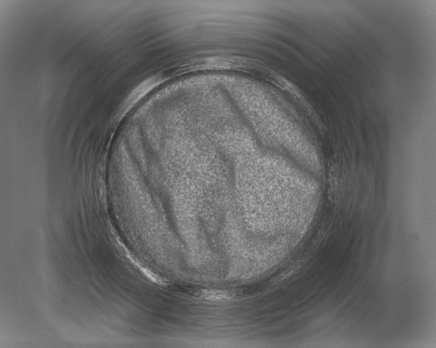 X0000080680794200701051033