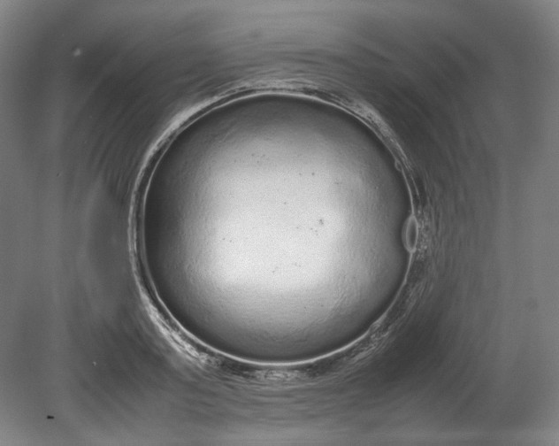 X0000080680795200701051033