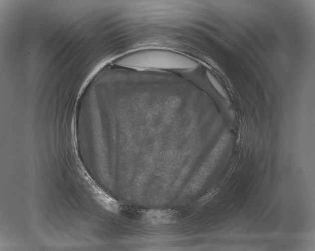 X0000080680796200701051033