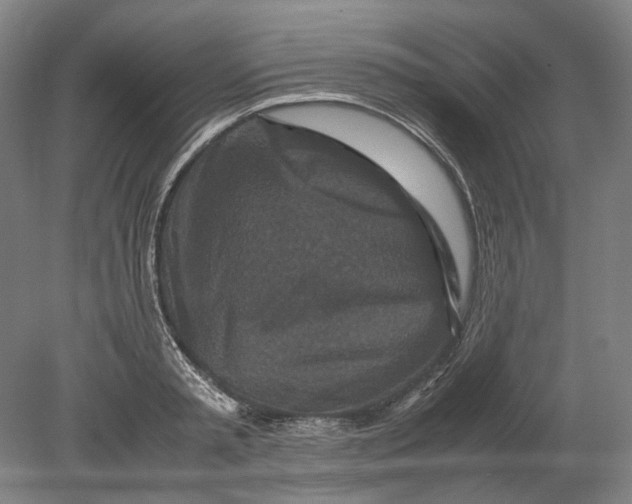 X0000080680797200701051033