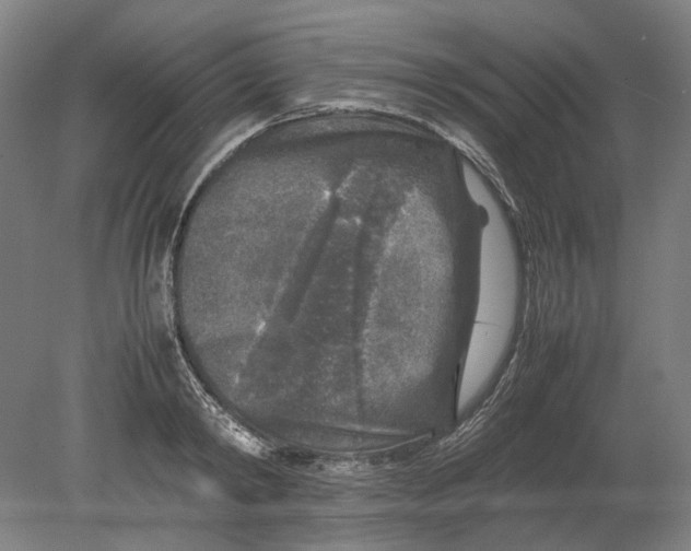 X0000080680798200701051033