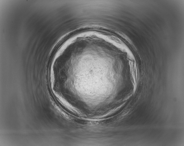 X0000080680799200701051033