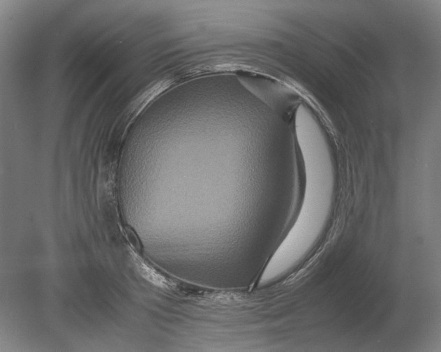 X0000080680801200701051033