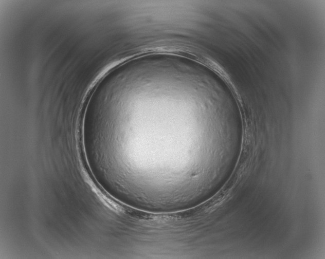 X0000080680803200701051033