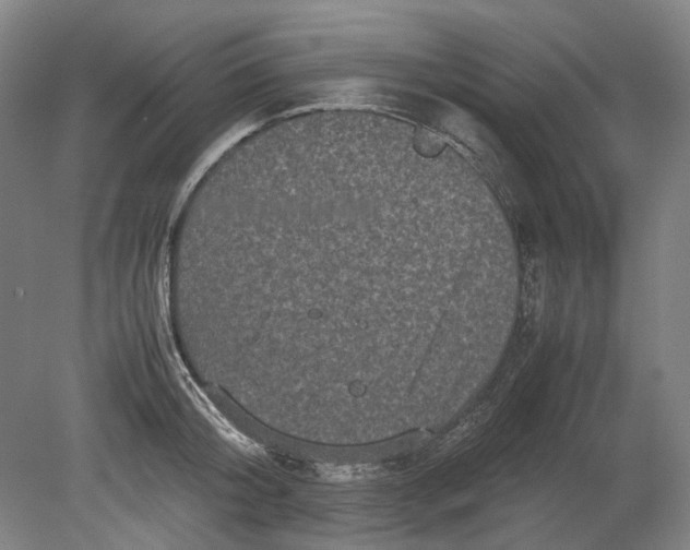 X0000080680804200701051033