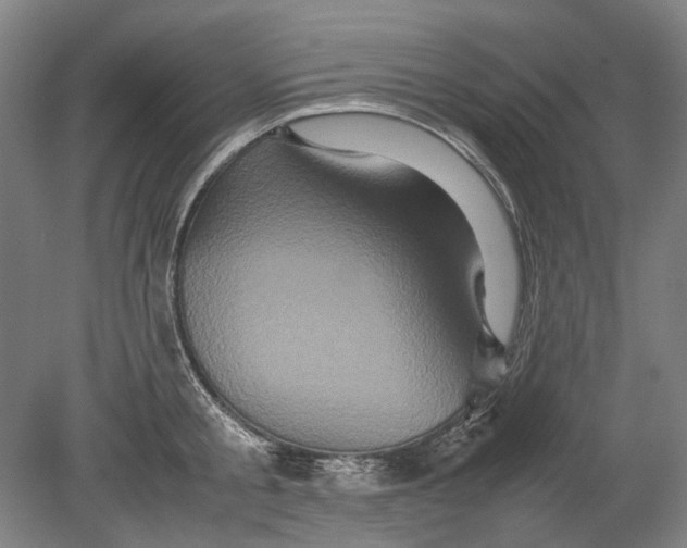 X0000080680805200701051033