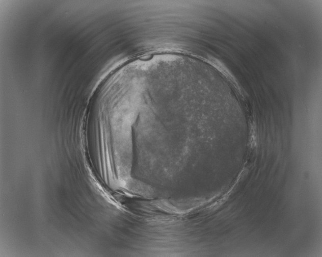 X0000080680806200701051033