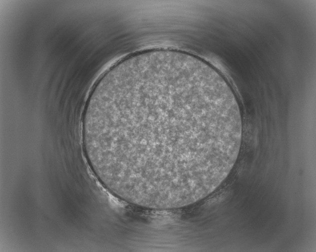 X0000080680807200701051033