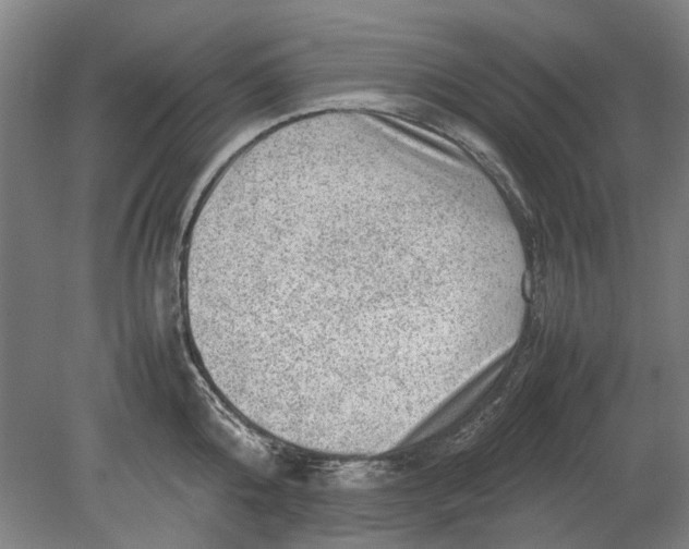 X0000080680808200701051033