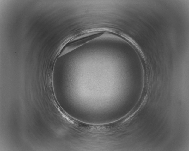 X0000080680809200701051033