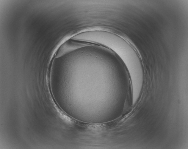 X0000080680813200701051032