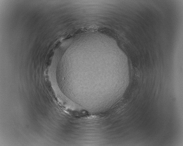 X0000080680818200701051032