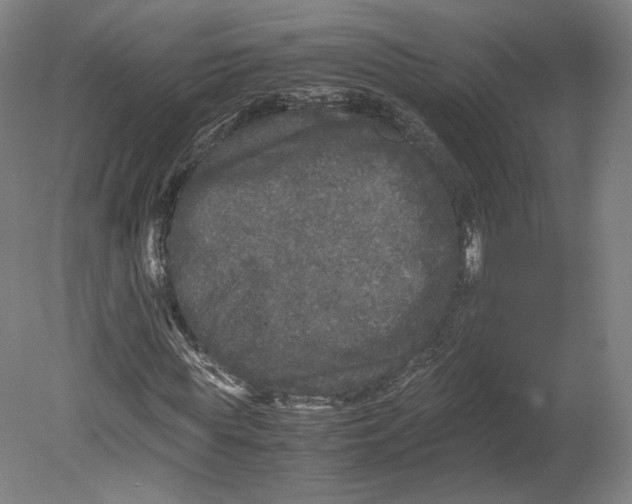 X0000080680819200701051032