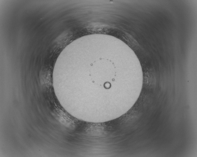 X0000080680820200701051032