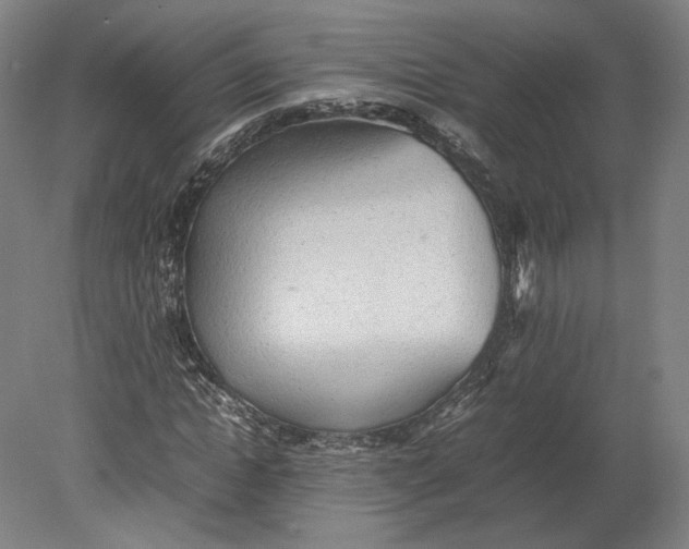 X0000080680822200701051032