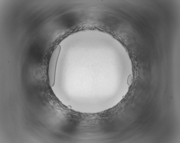 X0000080680824200701051032