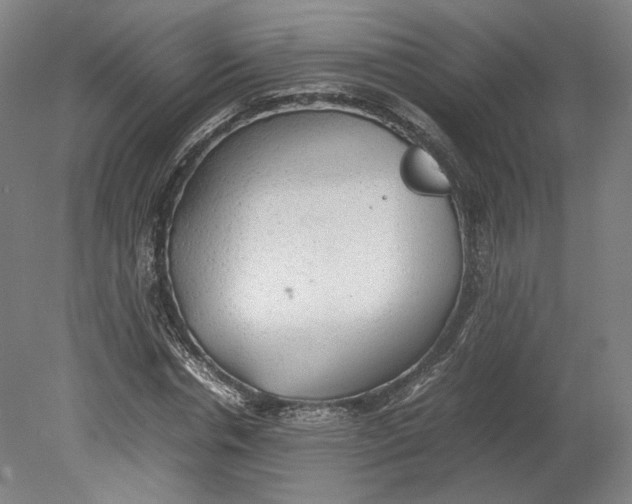 X0000080680826200701051032