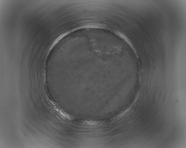 X0000080680829200701051032