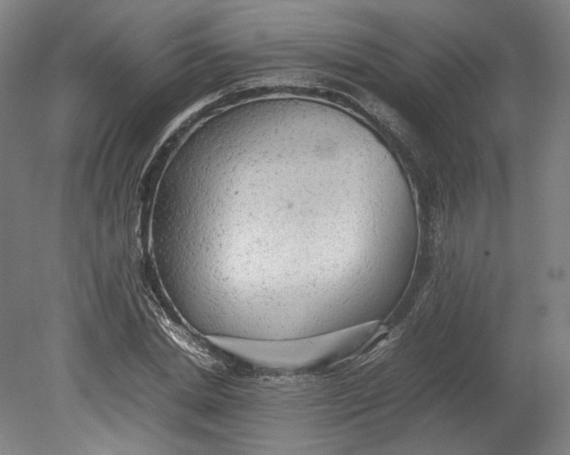 X0000080680830200701051032