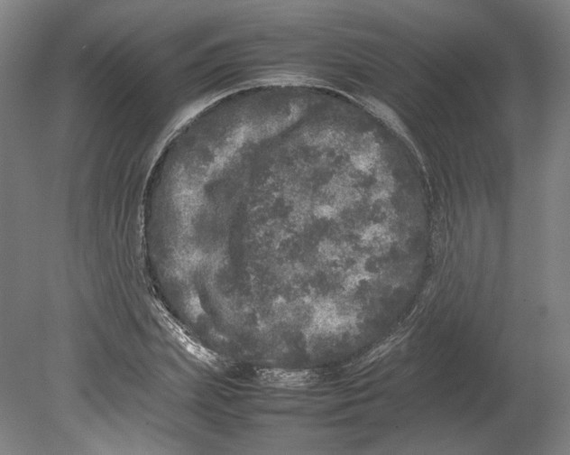 X0000080680831200701051032