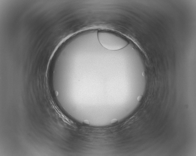 X0000080680832200701051032