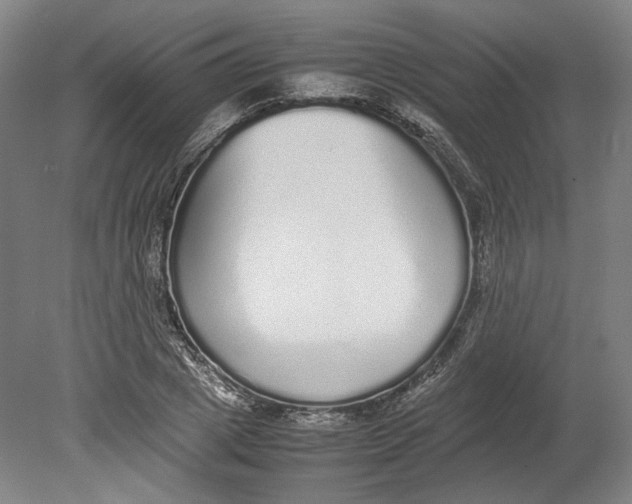 X0000080680833200701051032