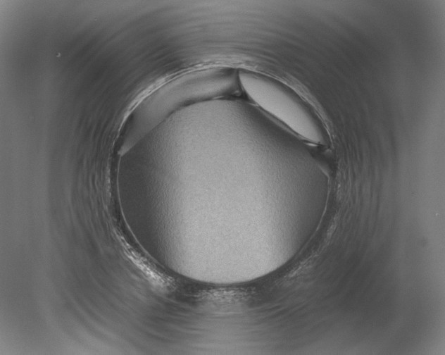 X0000080680834200701051032