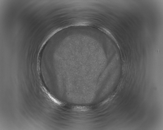 X0000080680835200701051032