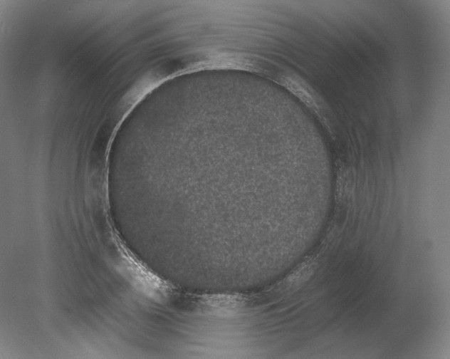 X0000080680836200701051032