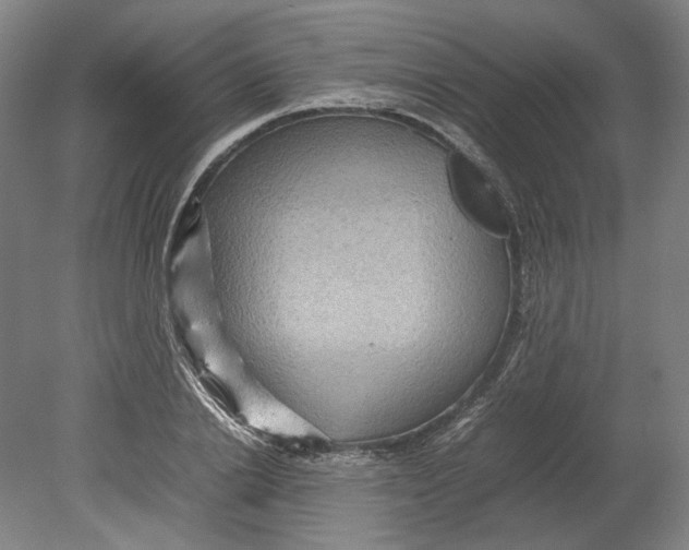 X0000080680838200701051032