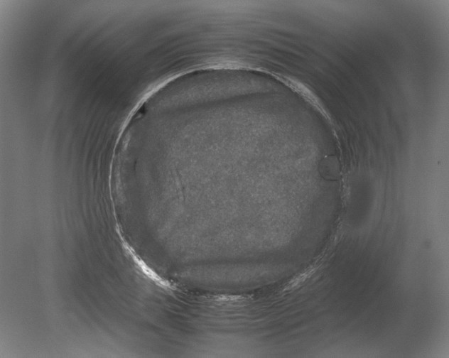 X0000080680839200701051032